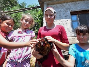 Alanya'da 75 yıllık tavuk yasağı torun sevgisiyle delindi