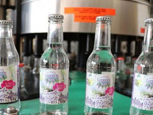 Müşterileri lavantalı gazozla serinletecek