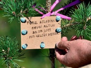 Gümüşhane'de her doğan bebek için 1 yeni fidan