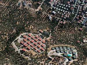 Kaz Dağları'nda villa yapımı için 2.5 milyon zeytin ağacı kesildi