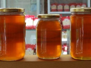 Marmaris'in çam balı "Coğrafi İşaret Tescil Belgesi" aldı