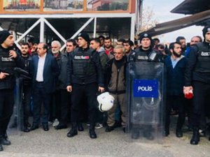 Büyükada'da fayton turları durduruldu, atlar ahıra çekildi