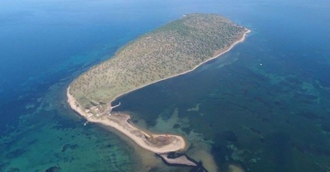 Karlar üzerinde özgür yaşam