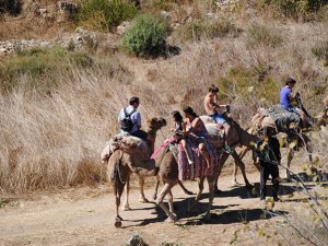 2019'da Side'de 4 bin 600 turist deve turuna çıktı