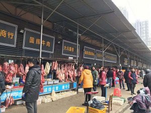 Ölümcül korona virüsünün yayıldığı Wuhan hayvan pazarı
