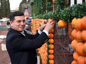 Kepez Belediyesi okullar açılınca öğrencilere portakal dağıtacak