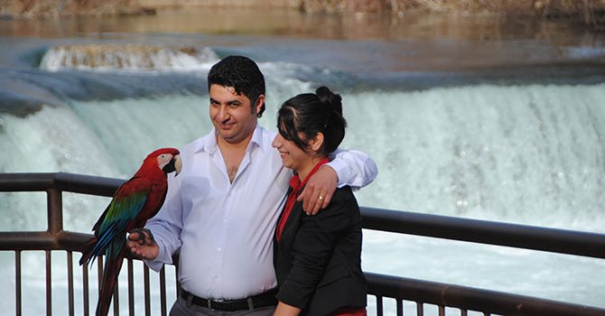 Hilton, Les Ottomans'ı tercih etti