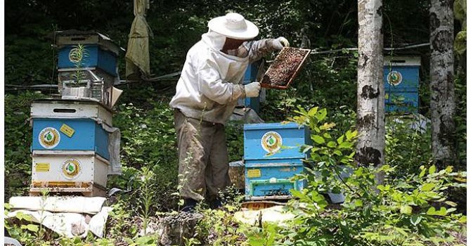 İzmir için Avrupa'dan güçbirliği