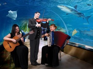 İstanbul Akvaryum’da yılbaşı coşkusu