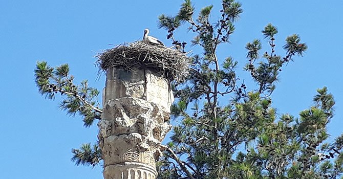 Ruslar tatilde kemer sıkıyor