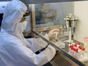 Kemer'e mobese sistemi