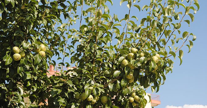 Doğru:18 beş yıldızlı otel fazla