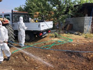 1385 personel, 192 araç ve 3 tekne ile ilaçlama yapıyoruz