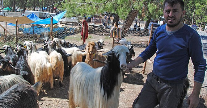İnternetteki virüs 1 milyonu aştı