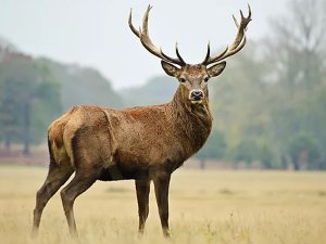 Fotosafari 2008, Fethiye'de