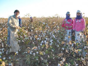 Mevsimlik işçiler:Hayatımız Züğürt Ağa'' filmi gibi