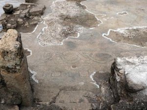 Defineciler 1600 yıllık 'Gola' mozaiklerini tahrip ettiler