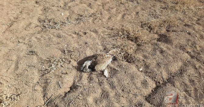 Denetim personeli eğitimi başlıyor