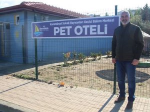 Karamürsel’de sokak hayvanlarına deniz manzaralı otel