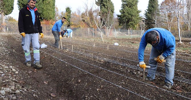 Burger King, 3G Capital'e