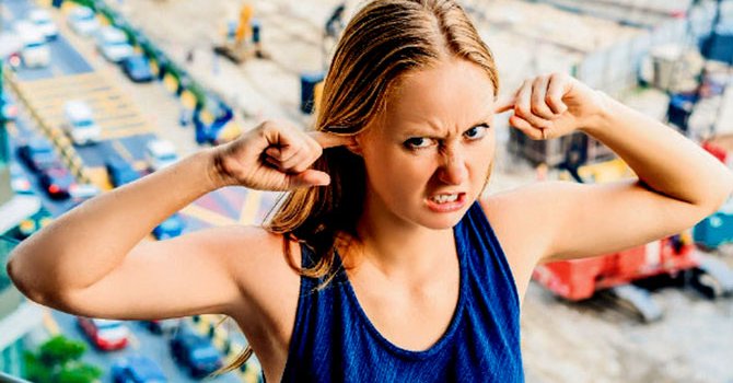 Ermeni gazeteciler Ani'de