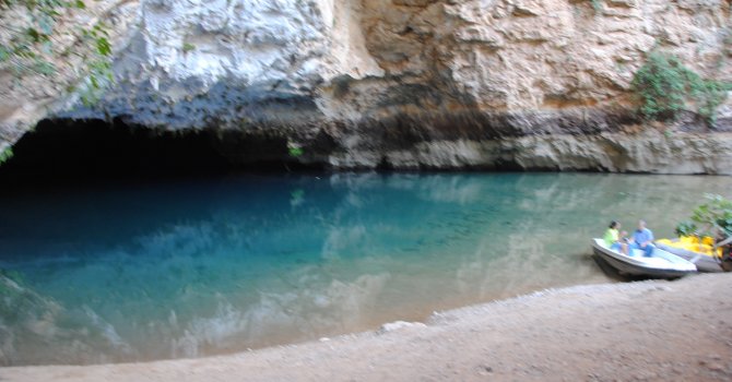 Balina yavrusu yatı annesi sandı