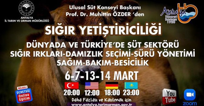 Google'da dünya birincisi olduk