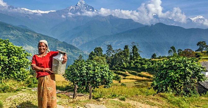 15. Kral Müzik Ödülleri