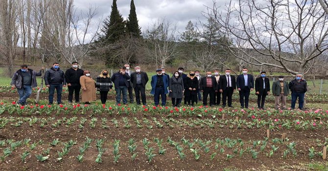 Türkiye, Belçika 1-1 berabere