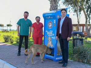 Demre'de sokak hayvanları için mama otomatı kuruldu