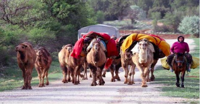 Mısır Nil'e Türkleri çekmek istiyor