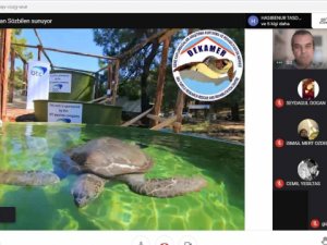 Karacasu'da deniz kaplumbağaları anlatıldı