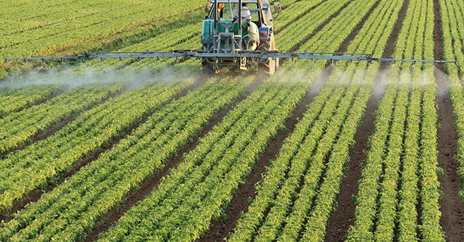 Fransa şarapta yeniden lider