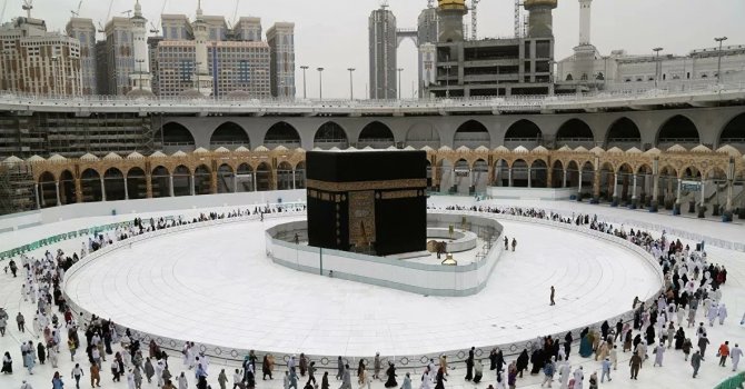 Zıplayan böceğin sırrı çözüldü