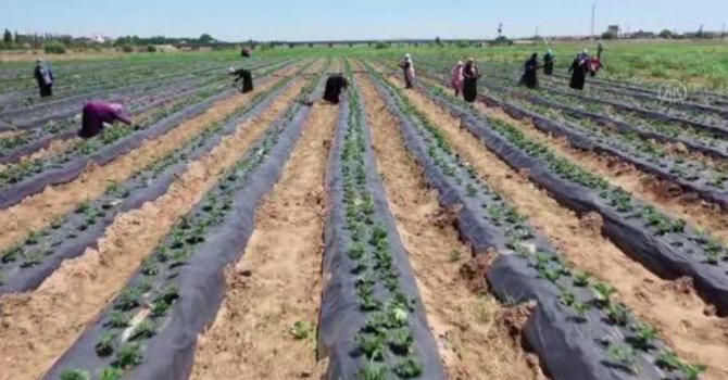 Messenger, Merkür'un yanında