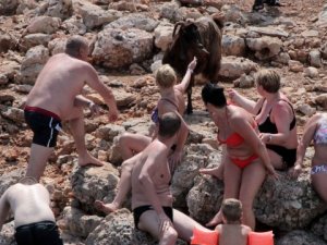 15 milyon dolarlık adanın sakinleri keçi ve tavşanlar