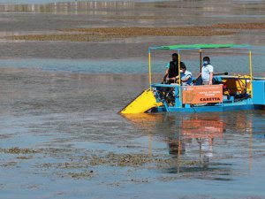 Antalya'nın ornito turizmi merkezi Boğaçay temizlendi