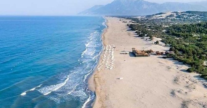 Skal dünya başkanını seçiyor