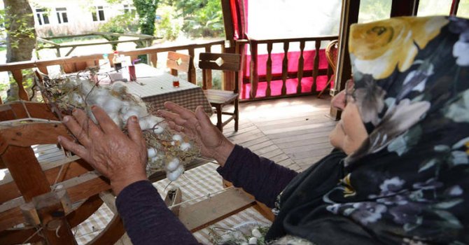 AB: Ormanların yokolma zararı