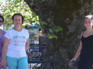 Koca bulduran, dilek tutulan çınarı turistlerde seviyor