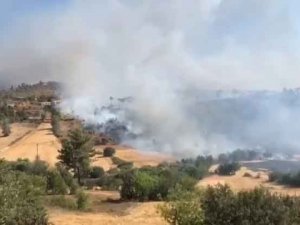 Genç turisteri cezalarla islah