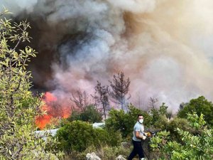 Ali Çandır: Yangında tıbbi aromatik bitki kaybımız yüksek oldu