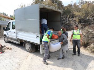 Yangından zarar görenlere sosyal yardım yapılıyor