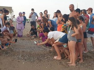 Cannes medeniyetinde hüsran