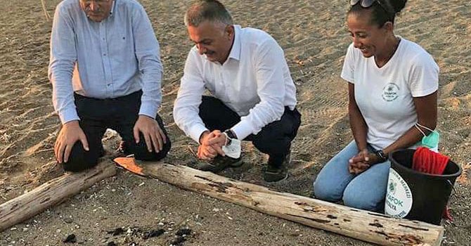 Belek'te 60 yavru kaplumbağa plaj yürüme bandında can verdi