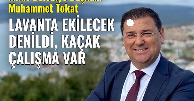 TÖSHİD'de seçim yapıldı