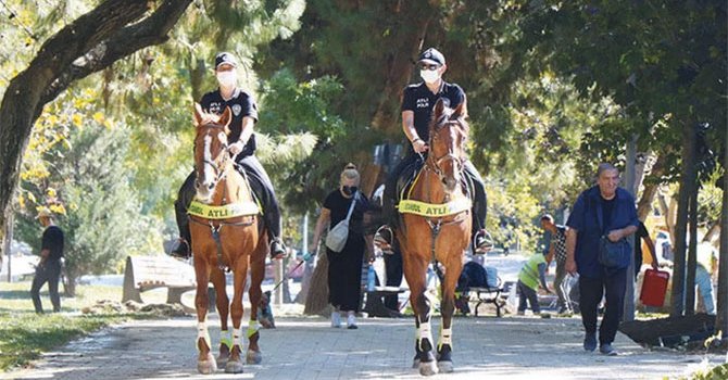 Arkas, Yang Ming'la ortak oldu