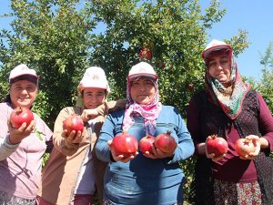 ATAK: Kadın Yoksa tarımda yok