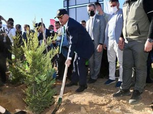 Manavgat'ta 5 bin fidan toprakla buluştu