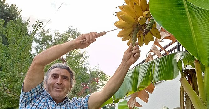 THY, yeni kıyafetleri tanıttı